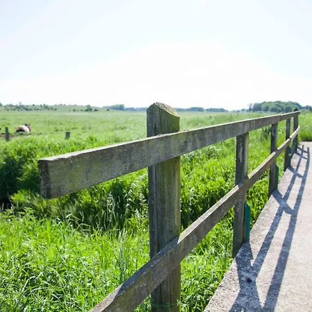 Daire Glasauer Kutscherhaus