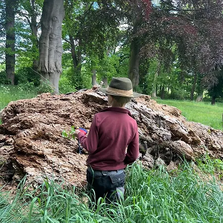 Glasauer Kutscherhaus Glasau